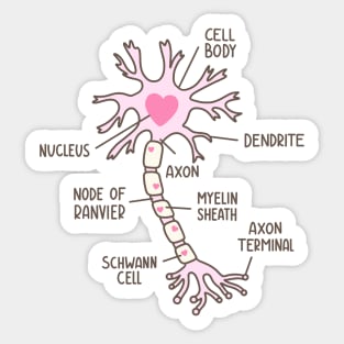 Neuron Diagram Heart Pink Brown Sticker